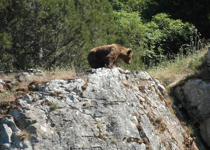 Hotel Varnous Agios Germanós